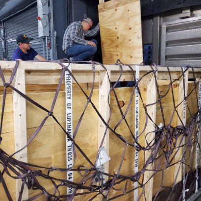 Man on top of loading crates as animals are being loaded.